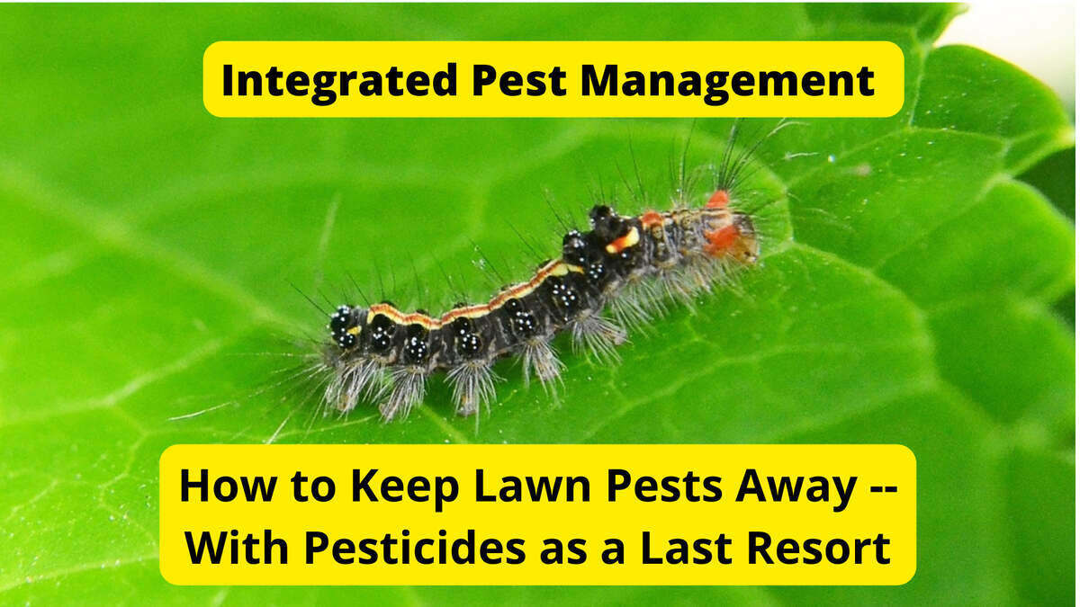 Integrated Pest Management