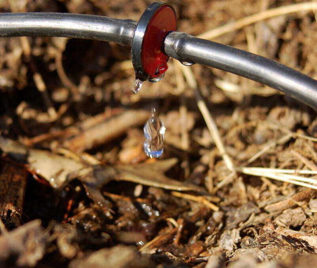 Drip irrigation