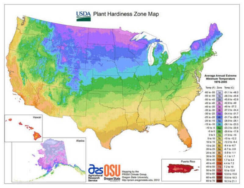 USDA map of plant hardiness throughout the US