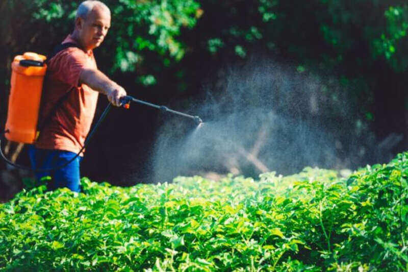Man applies pesticide in garden