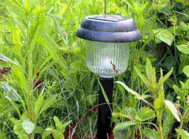 Solar-Powered Outdoor Lighting in Lawn