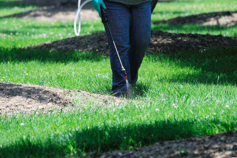 Pest control on lawns