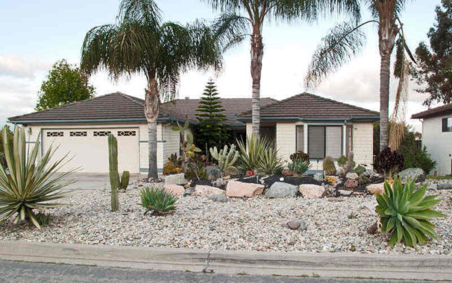 xeriscaped front yard