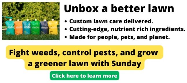 Sunday ad for the lawn care mailing kig