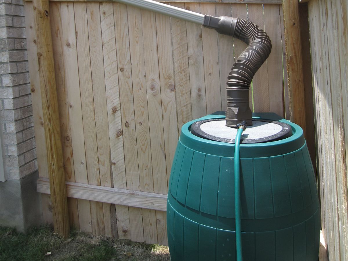 Bucket collecting Rain Water - Harvesting Rainwater