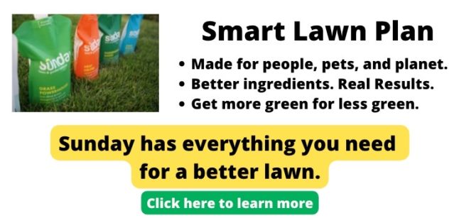 Lawn Care Fertilization Program