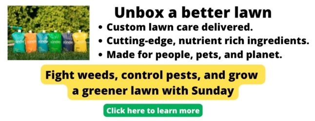 Get Sunday Lawn Care ad