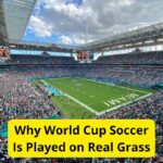 U.S. Cities to Host World Cup Switch to Natural Grass Soccer Fields