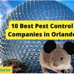 10 Best Pest Control Companies in Orlando