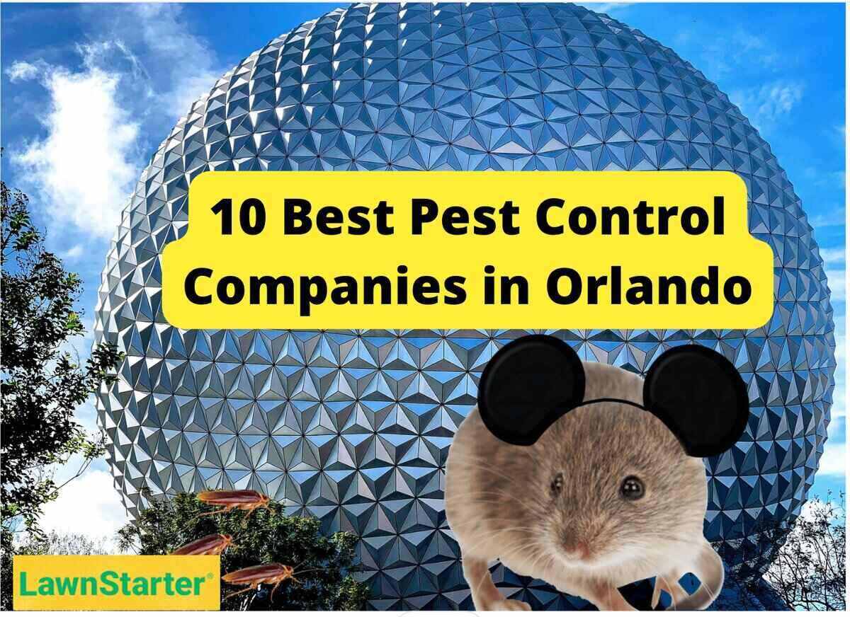 Dome at Disney's EPCOT in Orlando with a mouse with Mickey Mouse ears superimposed over it as the featured image on an article about the Best Pest Control Companies in Orlando