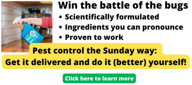 Pest control ad for Get Sunday