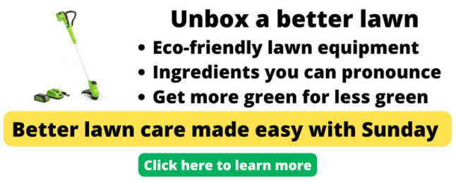 String trimmer ad for Sunday