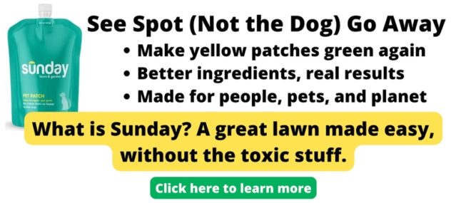 Ad for Get Sunday's Pet Care Lawn Products