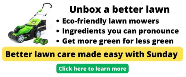 Sunday ad for green lawn mowers