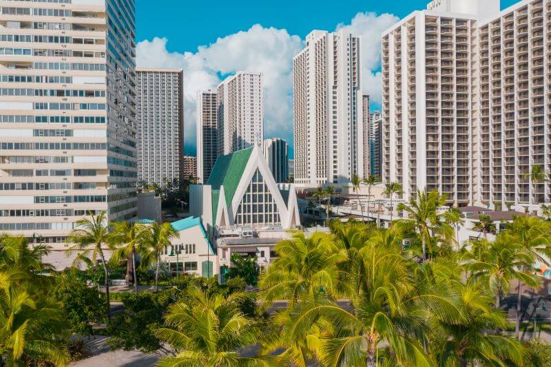 A view of the Honolulu skyline with palm trees in the foreground