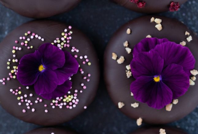 Chocolate and viola doughnuts