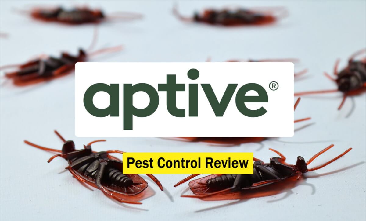Text: Aptive Pest Control Review Background Image: Dead roaches on white background