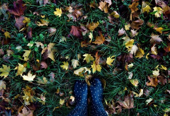 Lawn covered in leaves, boots standing on lawn