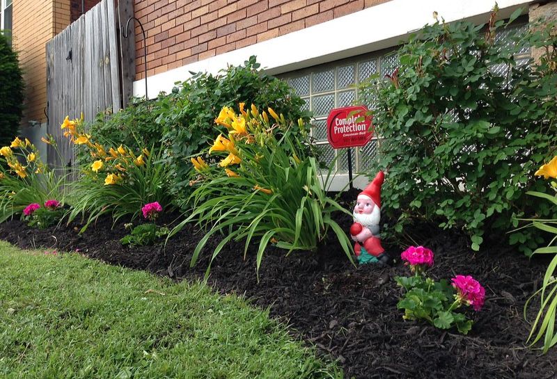 Mulched flower bed along house