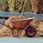 How Often Should You Replace Mulch?