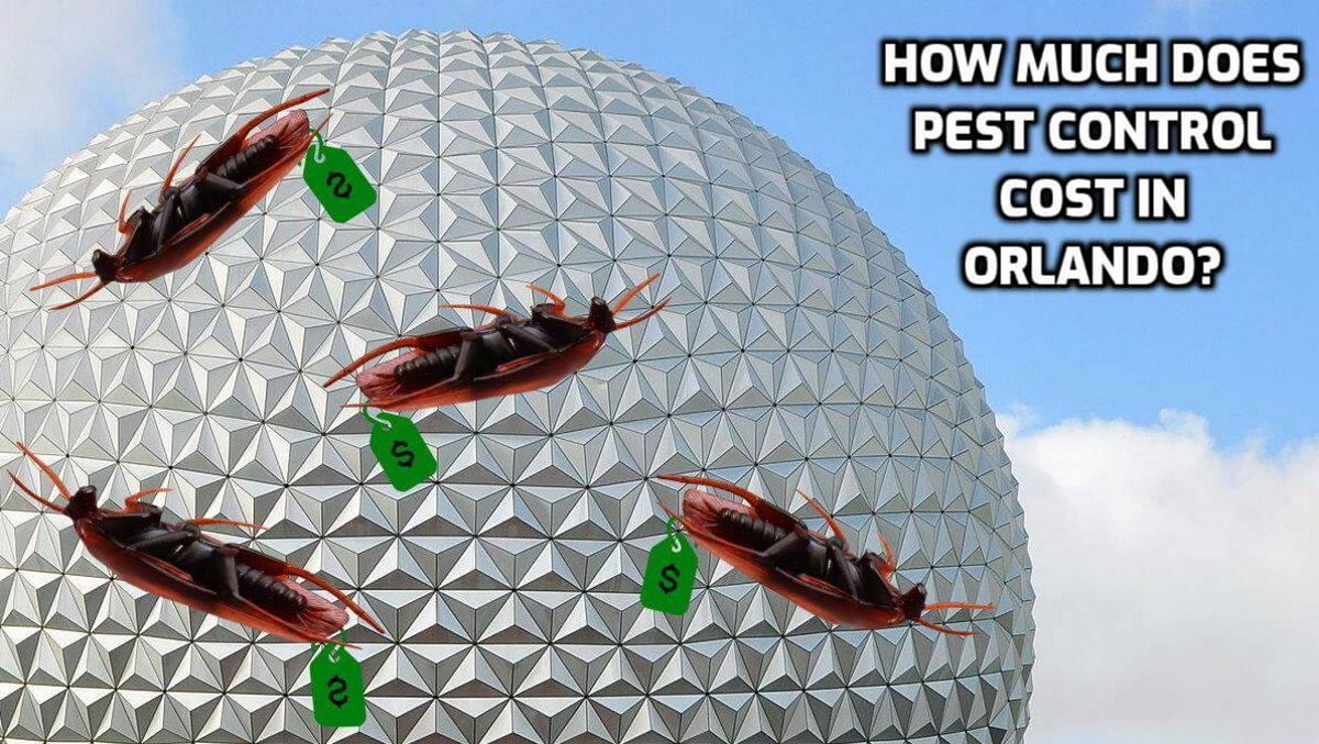 Dead roaches with prices tags on the Epicot dome - Text reads: How much does pest control cost in Orlando?
