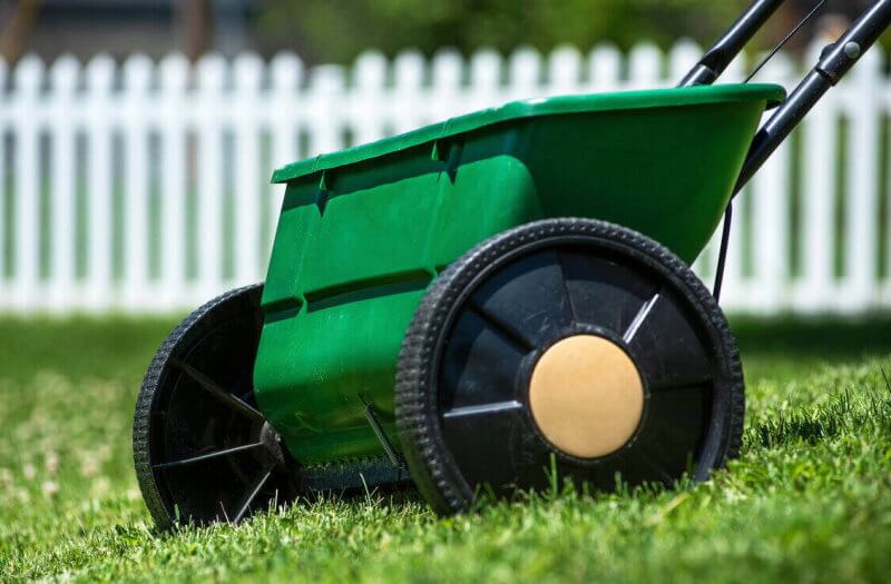 A lawn fertilizer used for spreading seed when overseeding.