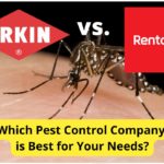 Orkin vs. Rentokil: Pest Control Companies Compared