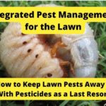 Integrated Pest Management for the Lawn