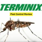 Terminix Pest Control Review
