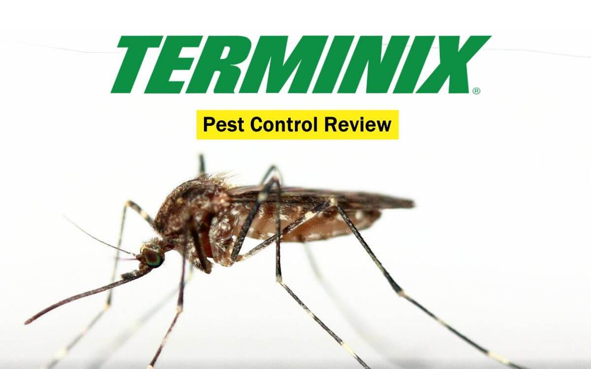 Text: Terminix Pest Control Review Image: Mosquito