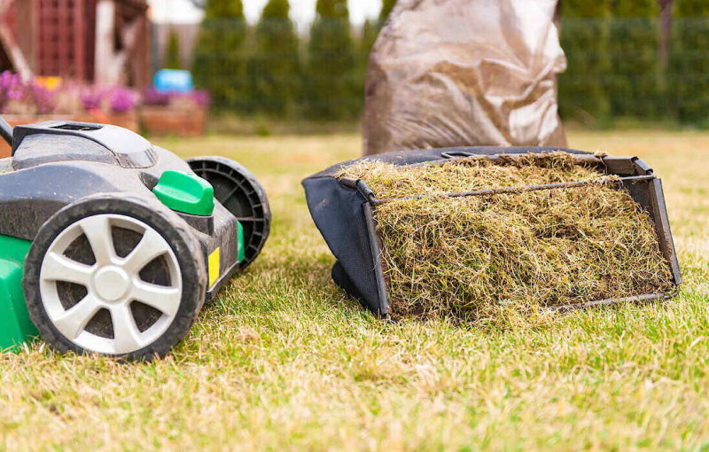 Thatch and a lawn mower