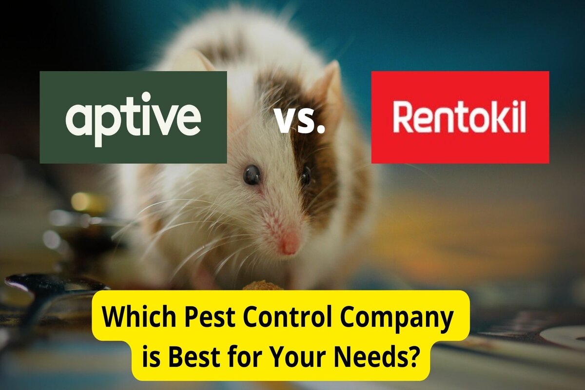 Text: Aptive Environmental vs. Rentokil | Background Image: Rat eating something
