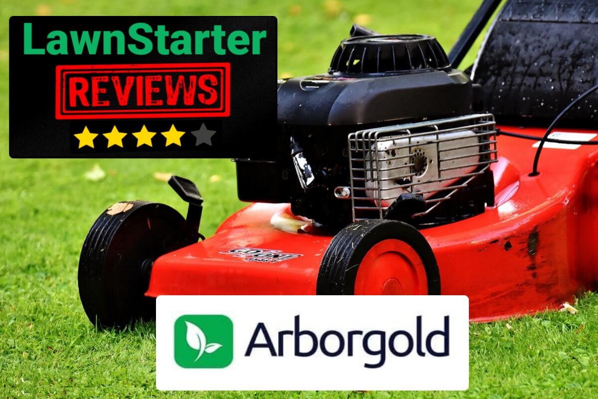 Arborgold - LawnStarter Reviews | 4.5/5 stars