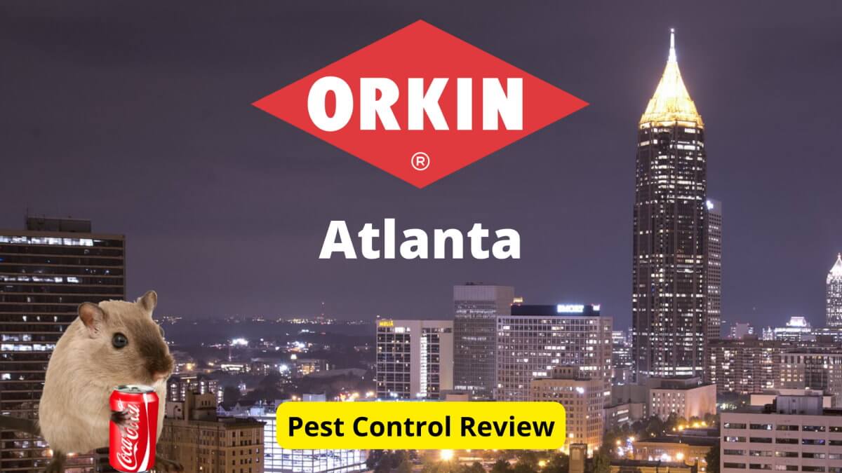 orkin pest control companies near me