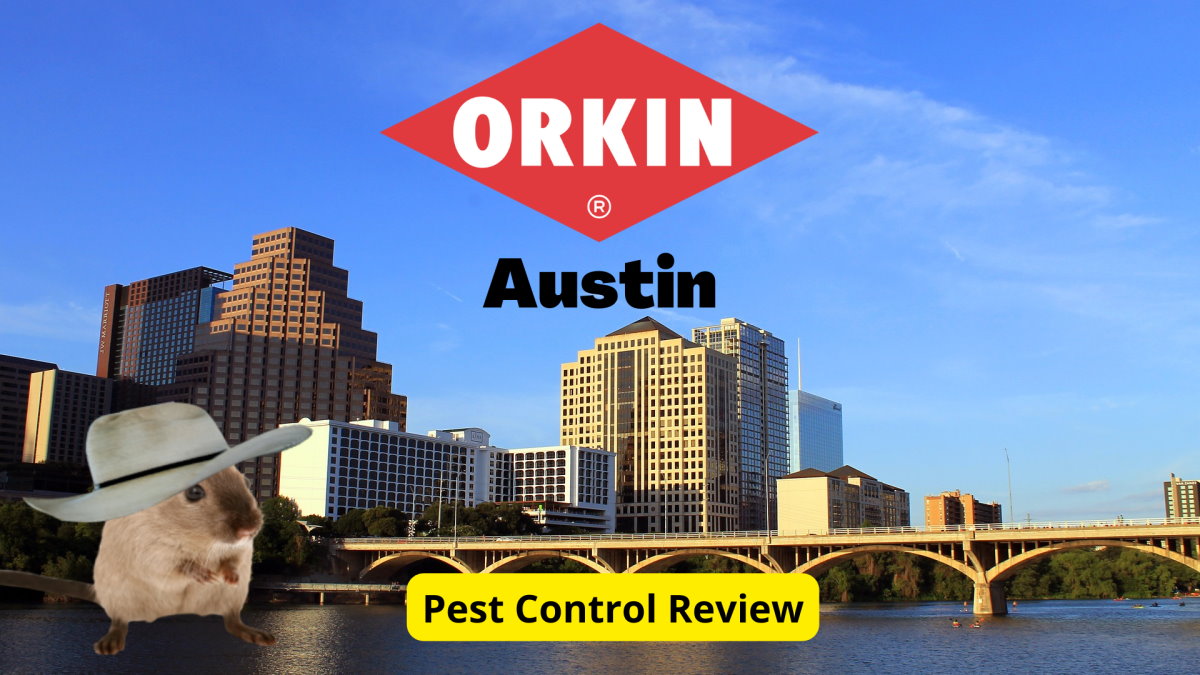 Text: Orkin Austin Pest Control Review | Background Image: Austin city scape | Image: Mouse with a cowboy hat