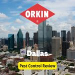 Orkin Pest Control in Dallas Review