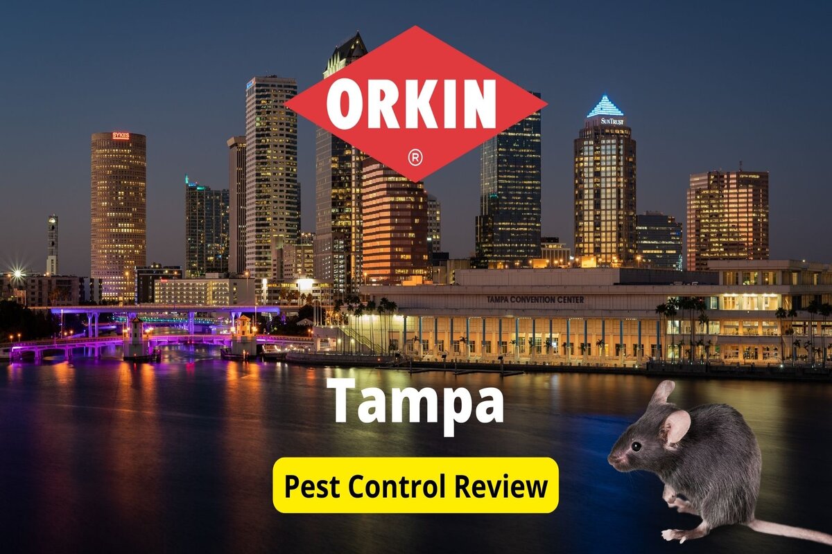 Text: Orkin in Tampa review | Background Image: Tampa Convention Center