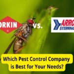 Orkin vs. Arrow Exterminators: Pest Control Companies Compared