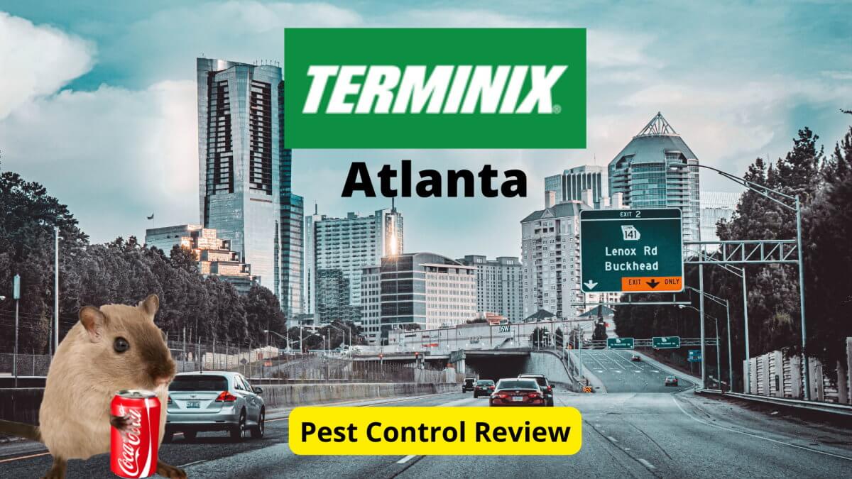 Text: Terminix Atlanta Pest Control Review | Background Image: Atlanta skyline from the highway, exit Lenox Rd Buckhead | Image: Mouse holding Coke can