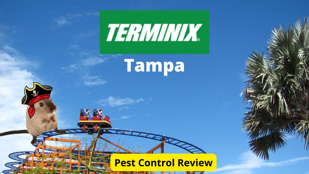 Text: Terminix Tampa Pest Control Review | Background Image: Busch Gardens | Image: Mouse in buccaneer hat