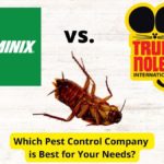 Terminix vs. Truly Nolen: Pest Control Companies Compared