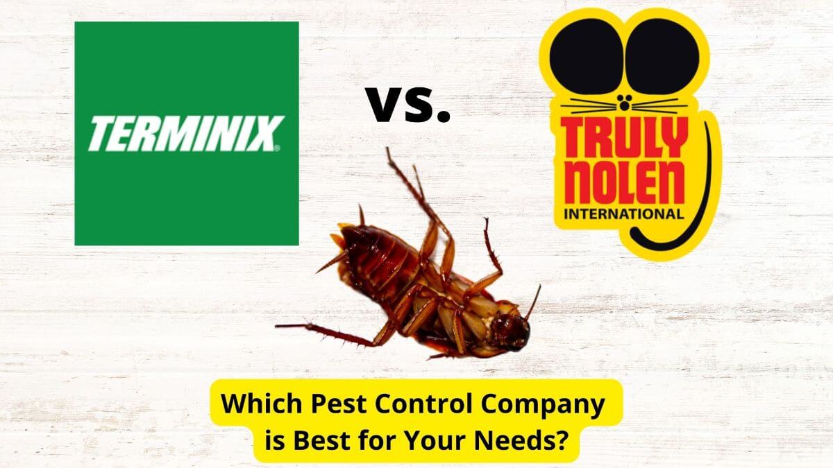 Text: Terminix vs. Truly Nolen, Which Pest Control Company is Best for Your Needs? | Image: Dead CockroachY
