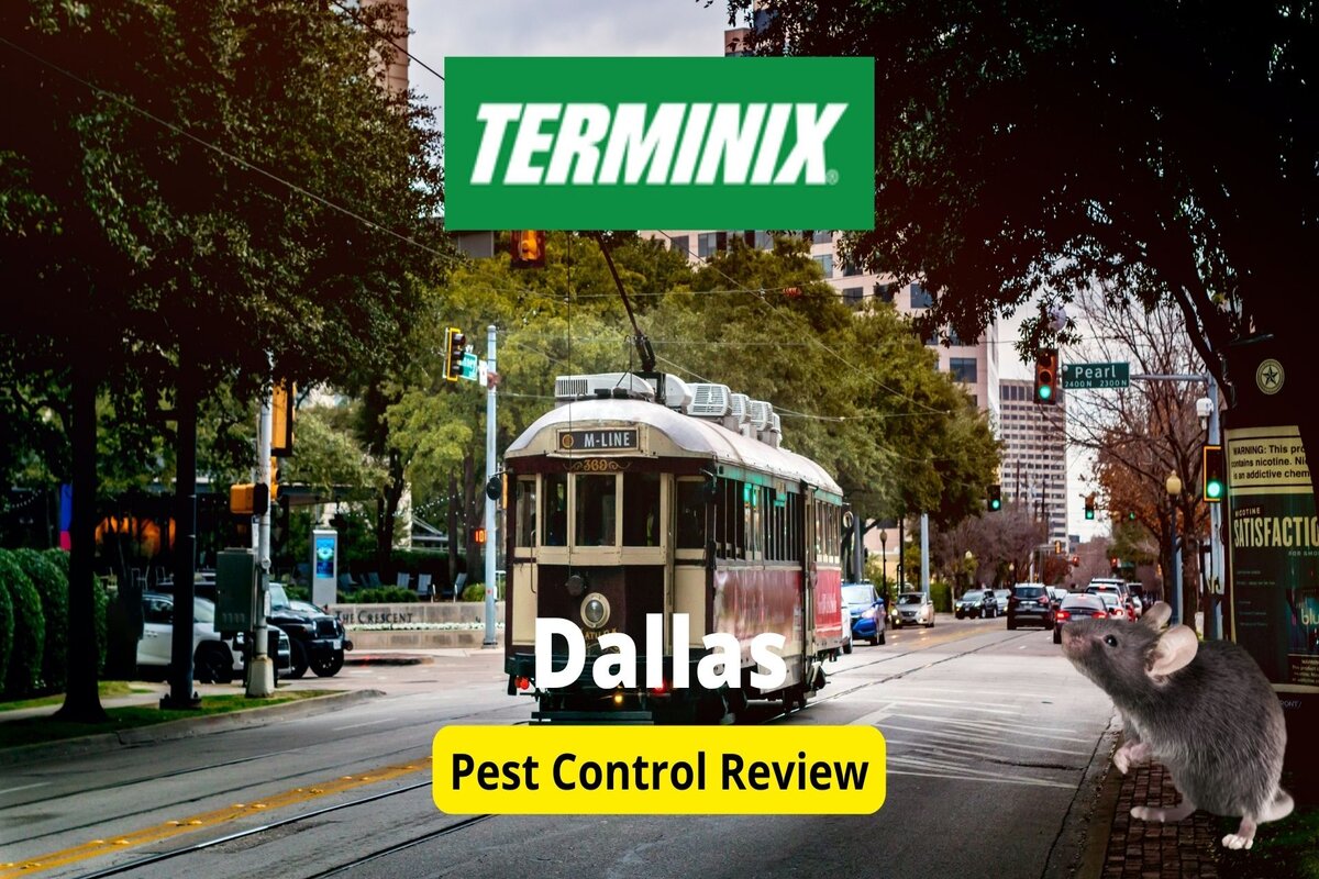 Text: Terminix in Dallas | Background image: white and brown tram on road