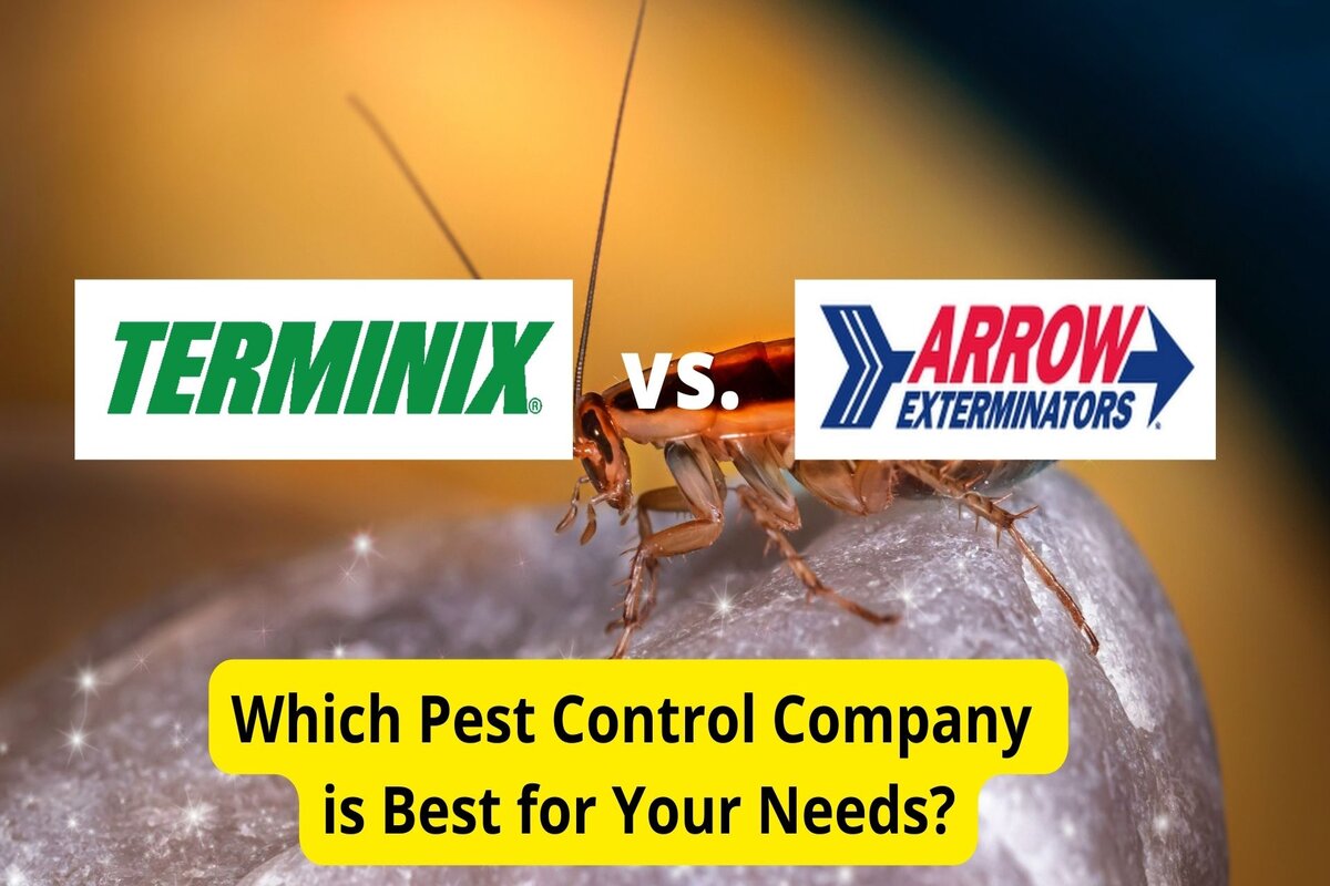 Text: LawnStarter Reviews : Terminix vs Arrow Exterminators | Background Image: Cockroach on rock