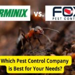 Terminix vs. Fox Pest Control: Pest Control Companies Compared