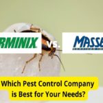 Terminix vs. Massey Services: Pest Control Companies Compared