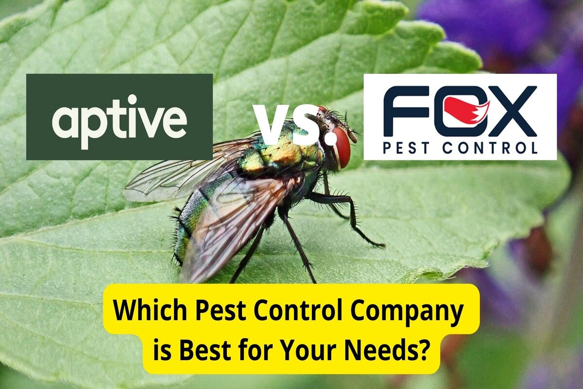 Aptive Environmental vs. Fox Pest Control Pest Control Companies Compared