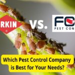 Orkin vs. Fox Pest Control: Pest Control Companies Compared