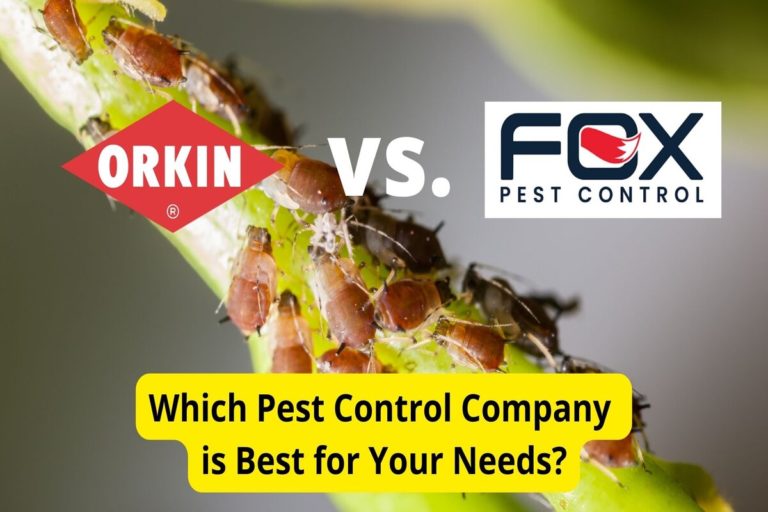 Orkin vs. Fox Pest Control Pest Control Companies Compared