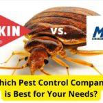 Orkin vs. Massey Services: Pest Control Companies Compared